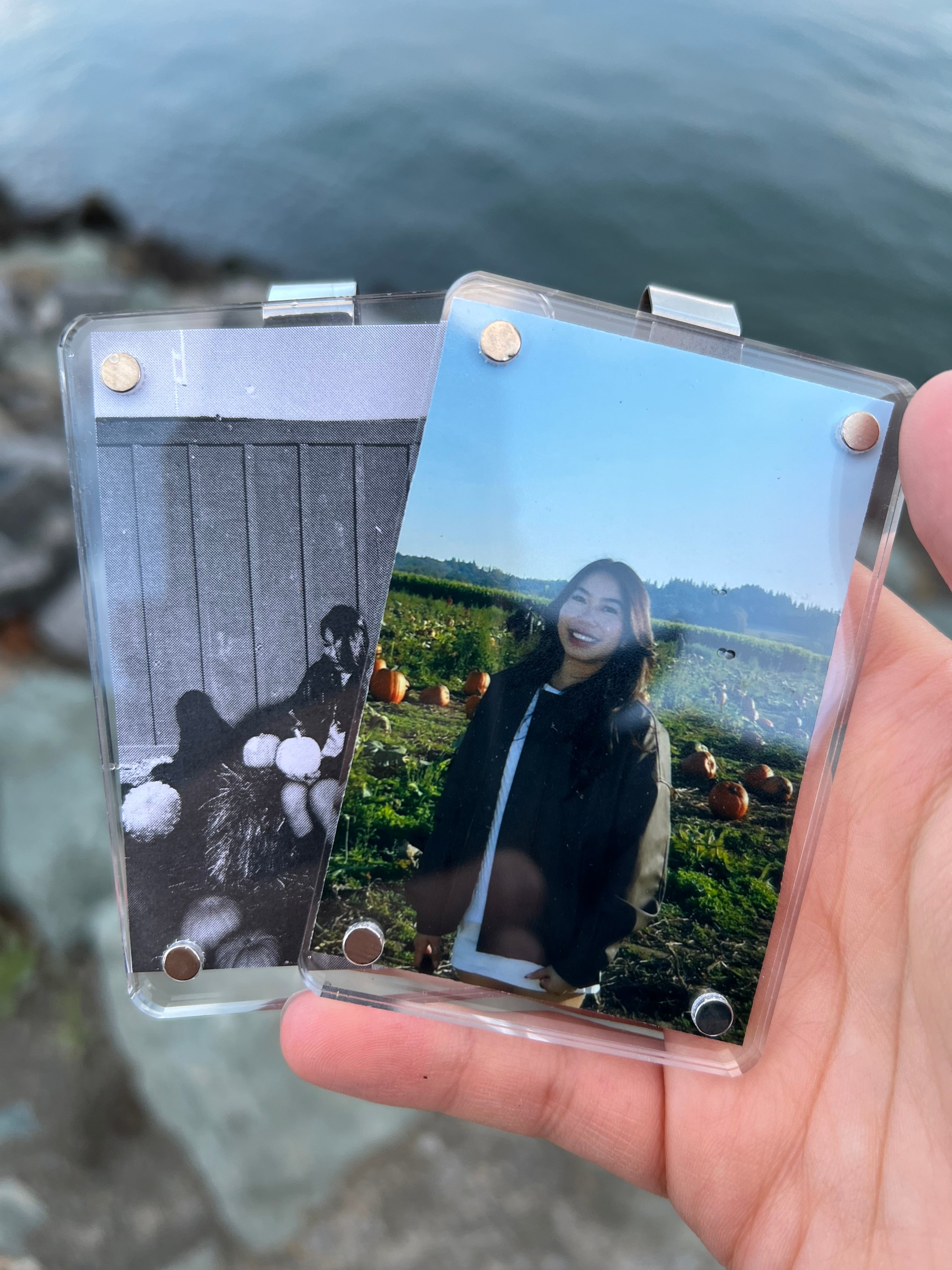 Dashie's Polaroid Love Holder